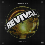 Cameron Jack - What's Up (Extended Mix)