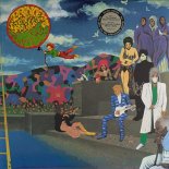Prince And The Revolution - America (12 Version)