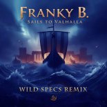 Franky B. - Sails To Valhalla (Wild Specs Remix Edit)