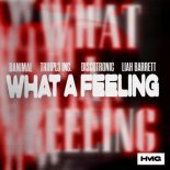 Danimal, TRIIIPL3 INC , Discotronic, Liah Barrett - What A Feeling (Extended Mix)
