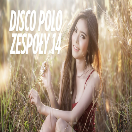 DISCO NA IMPREZĘ HIT ZA HITEM SIERPIEŃ 2025 SKŁADANKA DISCO POLO ZESPOŁY MEGA MIX 14