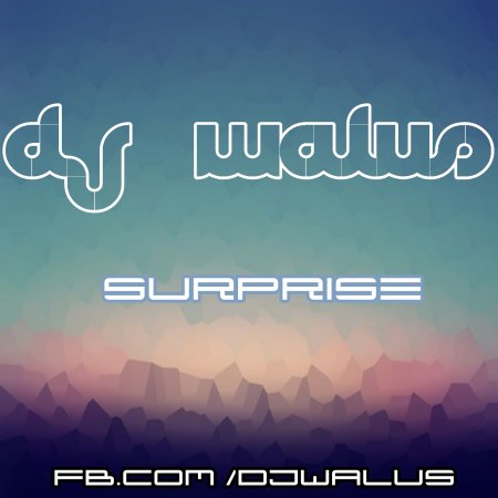 DJ WALUŚ - SURPRISE COMING SOON 2016