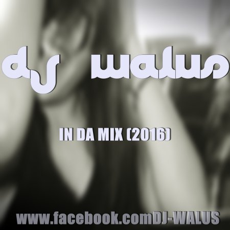 DJ WALUŚ - IN DA MIX 2016