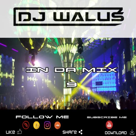 DJ WALUŚ - IN DA MIX 9 2017