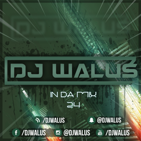 DJ WALUŚ - IN DA MIX 24 2017