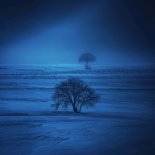 Darmi. - The Past Is Only Getting Further