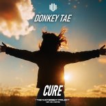 Donkey Tae - Cure (Extended Mix)