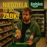 Disco Polo 2050 - Niedziela To Do Żabki