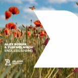Alex Nomak & Yuri Melnikov - Endless Spring