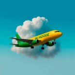 in hoode - Lift me up