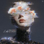 doslowno - Like A Rose