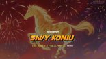 AKCENT - Siwy Koniu (‪DJ Arix‬ & FreddyBlue Remix)