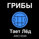 Griby - Taet Lyod (Amice Remix) 🔥