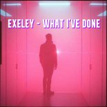Exeley - What I\'ve Done