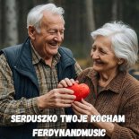 FerdynandMusic - Serduszko Twoje Kocham