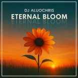Dj Aluochris - Summer Fading