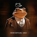 David Cueto (ES) - Chile