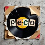 Peco - Best Dance Dec 2025 Mix 2025.12.20