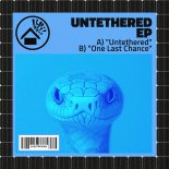 Venom Hertz - One Last Chance