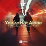 Dino Mileta, Daniel Merano, Tamash, Mark Bale - You're Not Alone (Radio Edit)