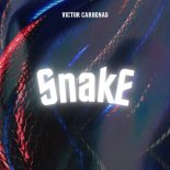 Victor Cardenas - Snake (Original Mix)