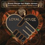 Groove Disciple Feat. Angela Johnson - Now That Love’s Gone (Instrumental)