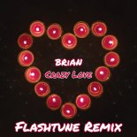 BRiAN - Crazy Love (Flashtune Remix)