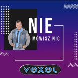 Vexel - Nie Mówisz Nic (Radio Edit)
