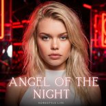 KorgStyle Life - Angel of the Night (Euro Disco)