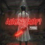 Harris & Ford - Augen Auf!