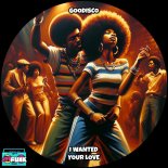 GooDisco - I Wanted Your Love