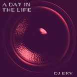DJ Erv - Just Right (Main)