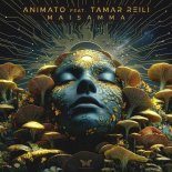 Animato Feat. Tamar Reili - Maisamma