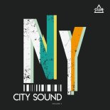Ricky Paes - Without You (Extended Mix)