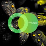 Andrea Terramossi - Flow For My Head (Original Mix)