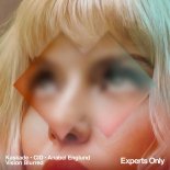 Kaskade, CID & Anabel Englund - Vision Blurred (Original Mix)