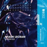 Shaun Lecram - I Wish You Well