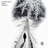 Starry Major and Cold Face - Snowflake (Atragun Radio Edit)