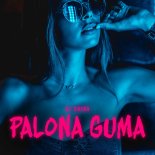 DJ Skiba - PALONA GUMA
