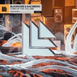 BlackCode & Gaz Meeko - Turn Up The Volume (Extended Mix)