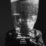 Amir Telem - Numb (Extended Mix)