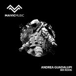 Andrea Guadalupi - Mr. Rohn