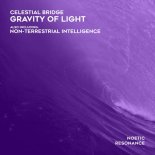 Celestial Bridge - Gravity of Light