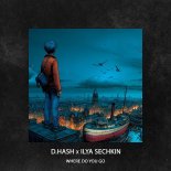 D.HASH & ILYA SECHKIN - Where Do You Go