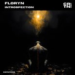 Floryn - Introspection (Extended Mix)