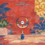Intar - Driving Me Crazy (Original Mix)
