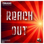 Pimlican - Reach Out