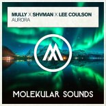 Mully & Shvman Feat. Lee Coulson - Aurora