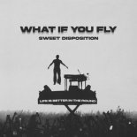 BUNT. x The Temper Trap - What If You Fly (Sweet Disposition)