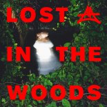 Adriatique & Elderbrook - Lost In The Woods (Original Mix)
